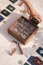 TRANSLITER8 Game