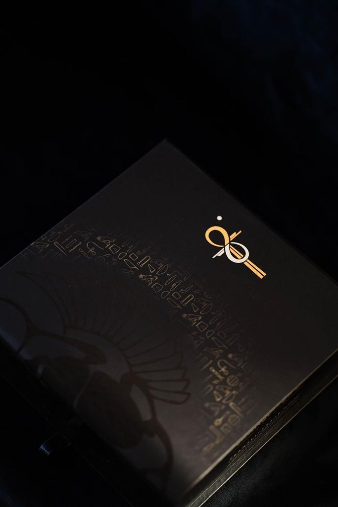 TRANSLITER8 Game (Lite)